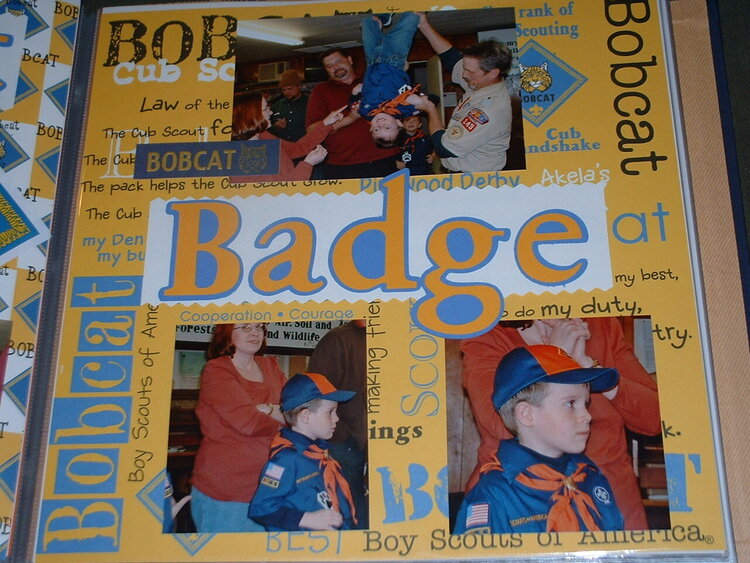 Bobcat Badge Page 2