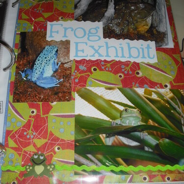 Frog Exhibit