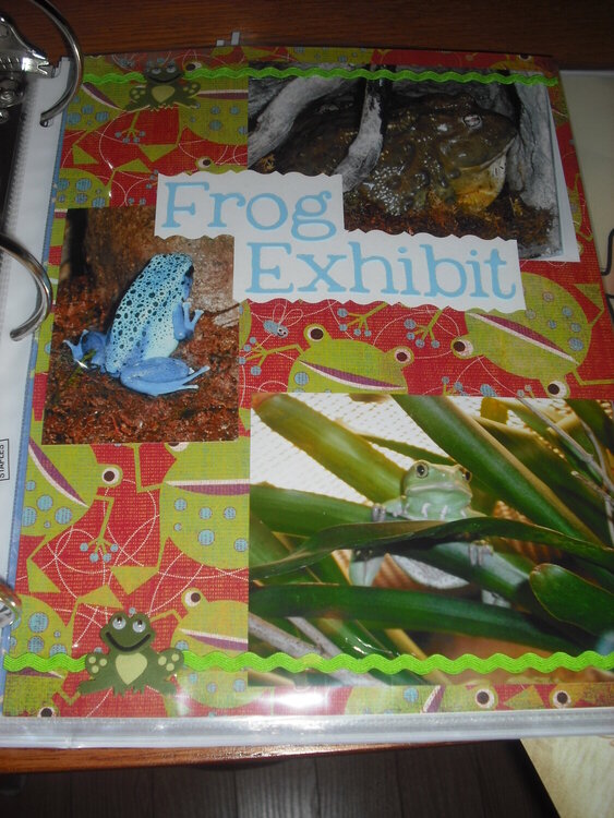 Frog Exhibit