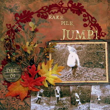 Rake, Pile, Jump