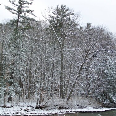 Snowy Morning-December 2007