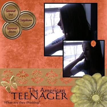 The American Teenager