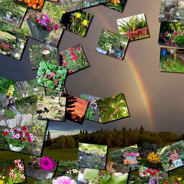 Garden Pictures with Background Rainbow