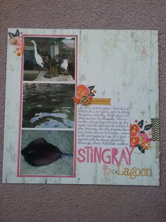 Stingray Lagoon
