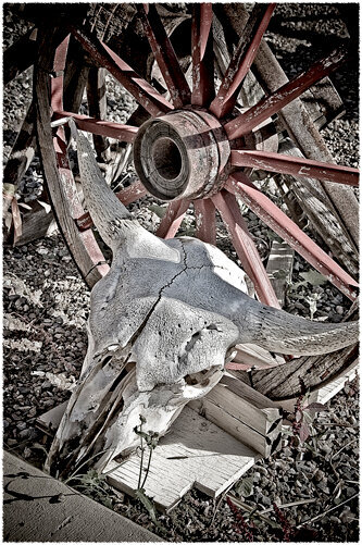Old Skull and Wagon Wheel
