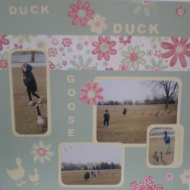 Duck Duck Goose Brittany