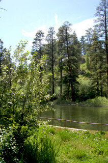 Pine River in Colorado
