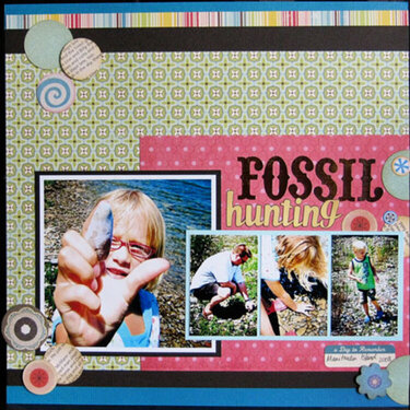 Fossil Hunting