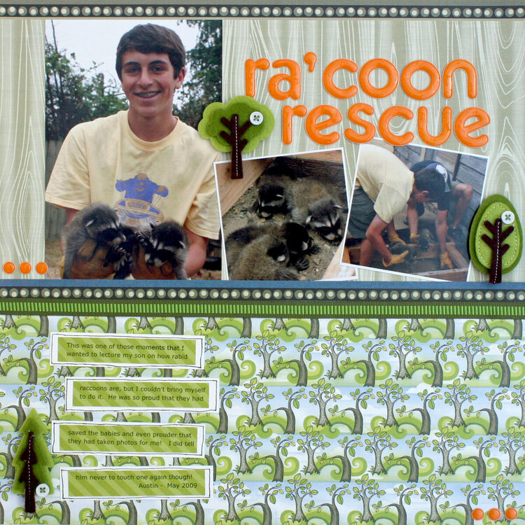 ra&#039;coon rescue