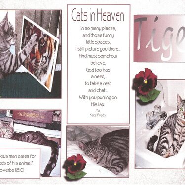 Cats in Heaven (For Tiger)