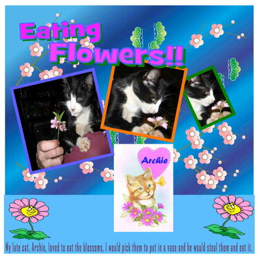 Eating flowers