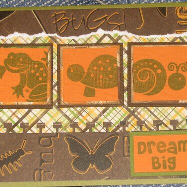 dream big bug card