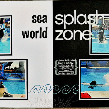 Sea World Splash Zone 2 pgr