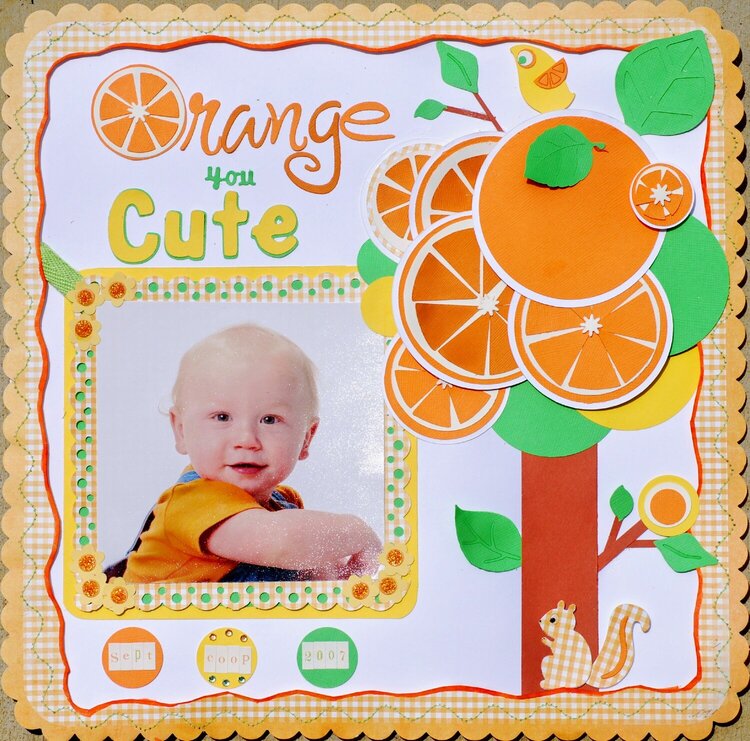 Orange You Cute