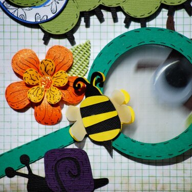 Close Up of Magnify glass from Bug On Cute