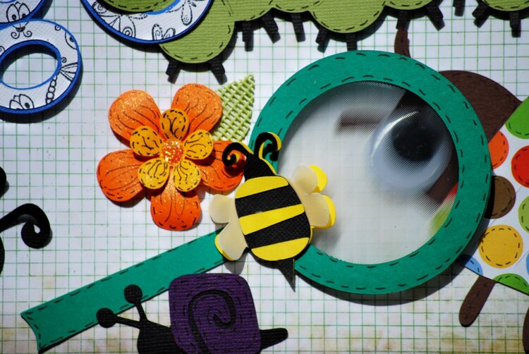 Close Up of Magnify glass from Bug On Cute