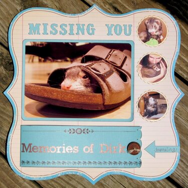 Missing You: Memories of Dirk