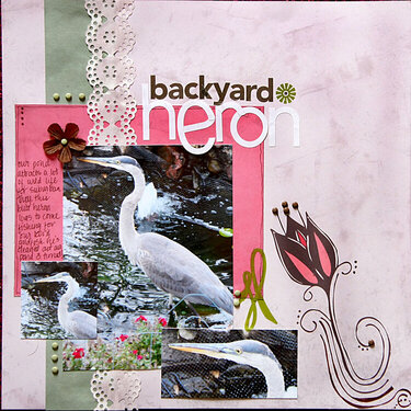 Backyard Heron