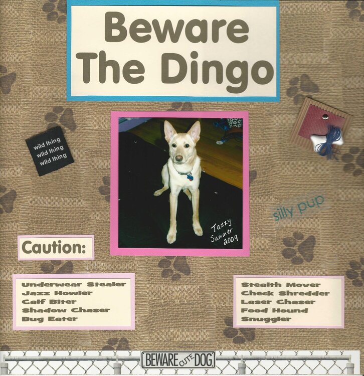 Beware the Dingo