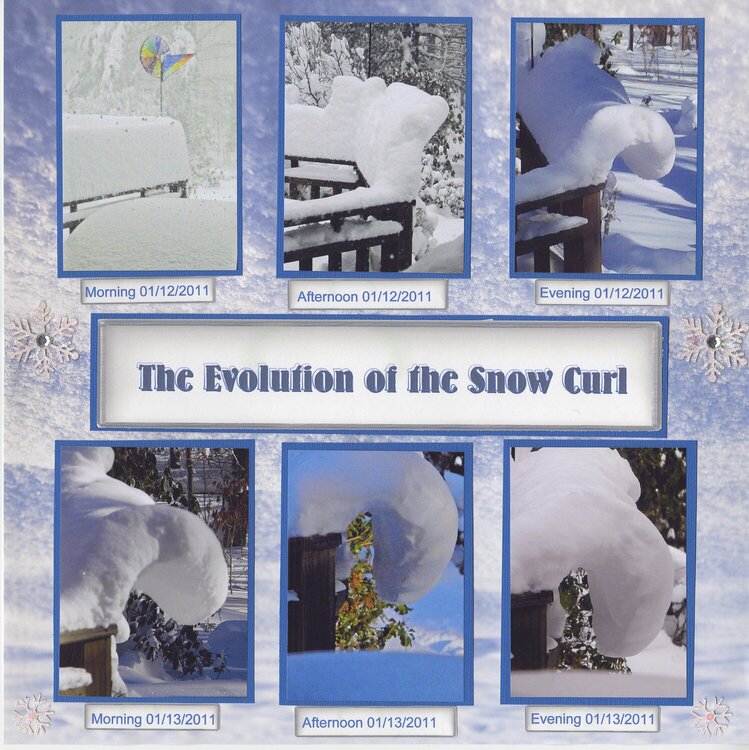 The Evolution of the Snow Curl