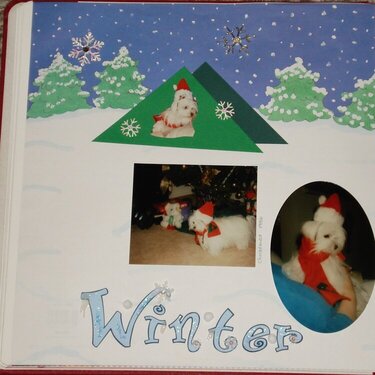 winter santa dog