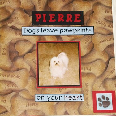 Pet Dog Memorial Album