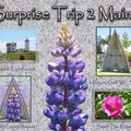 SurpriseTrip2Maine