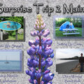 Surprise Trip 2 Maine_2