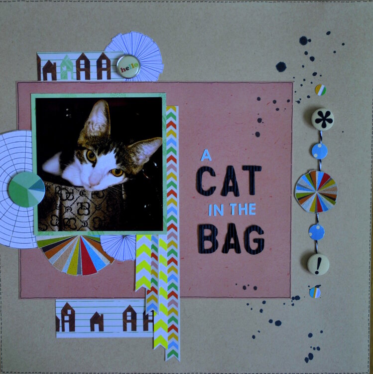 A Cat in the Bag