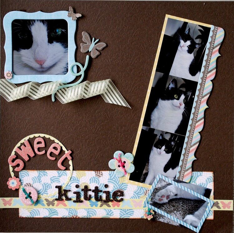 Sweet Kittie