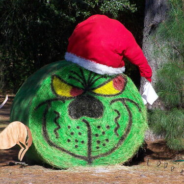 4. Grinch ~ Photo a day challenge