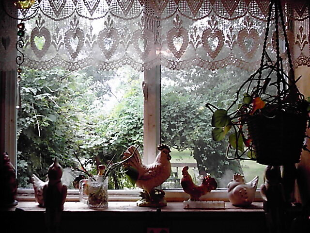 POD #7 - A View out my Kitchen Window