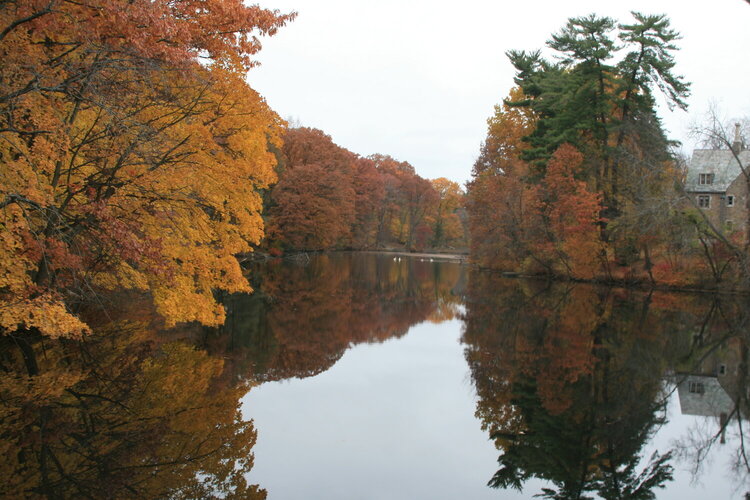 11/6  Reflection of Fall