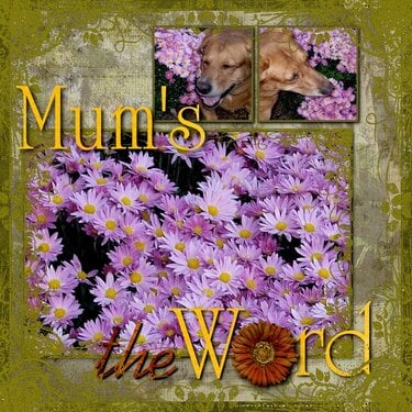 Mum&#039;s The Word