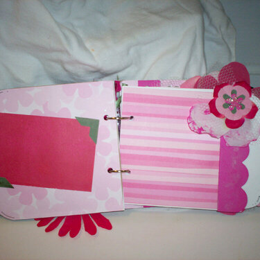 mini album olive green and hot pink