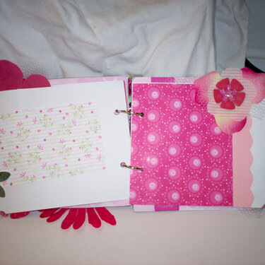 mini album olive green and hot pink