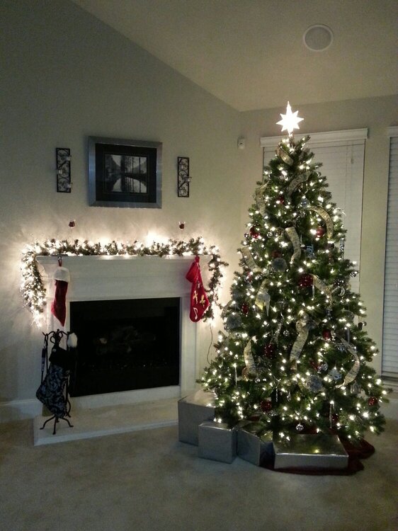 Main tree in the living room