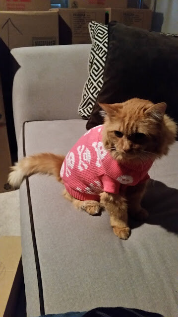 Mia in her sweater