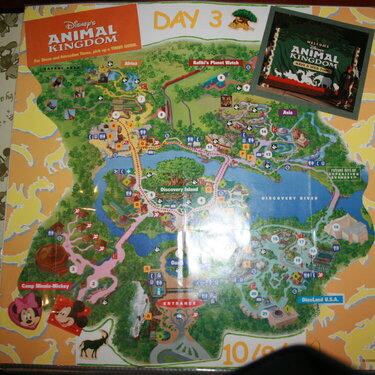 Animal Kingdom 2004