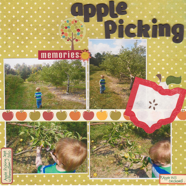 Apple Picking