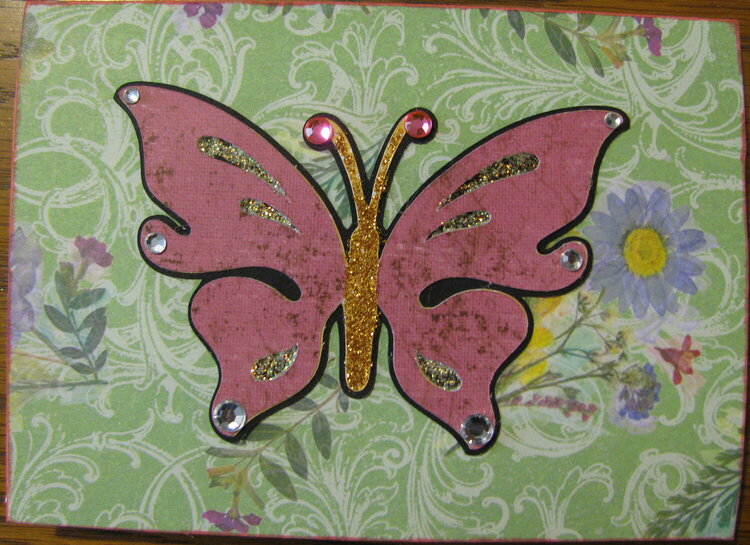 Butterfly card