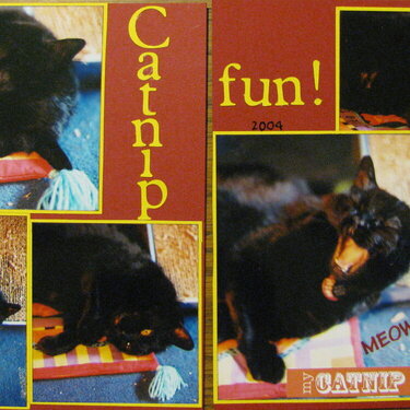 Catnip fun!