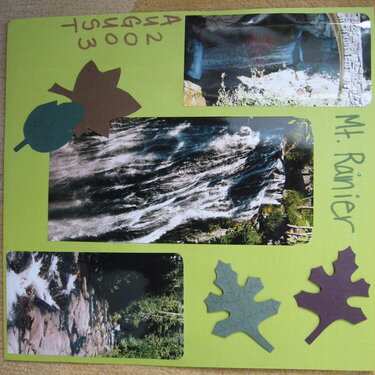 Mt Rainier "The Falls"