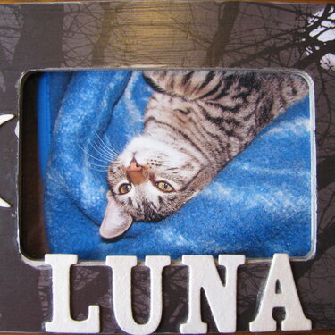 Luna Cat frame