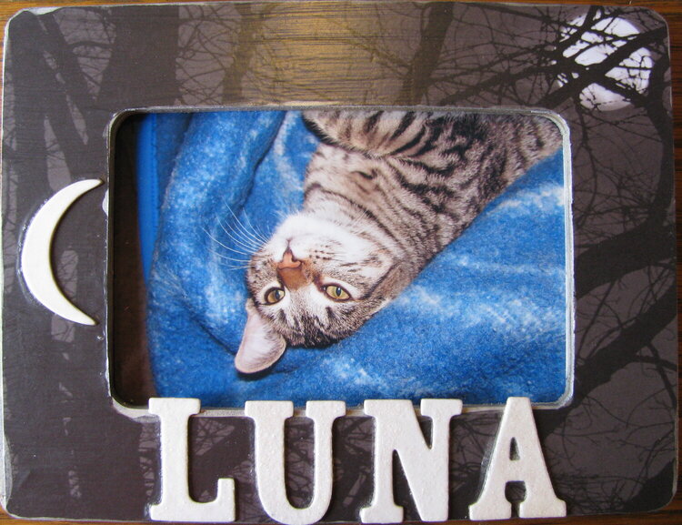 Luna Cat frame