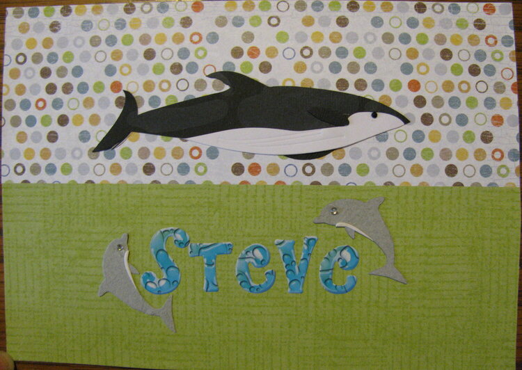 Steve R card front
