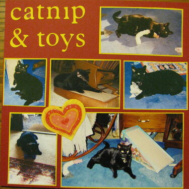 catnip &amp; toys