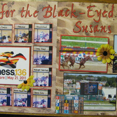 Run for the Black-Eyed Susans