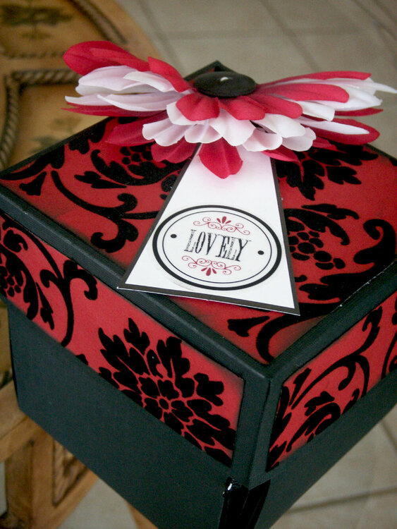 Flocked Red and Black Explosion Box