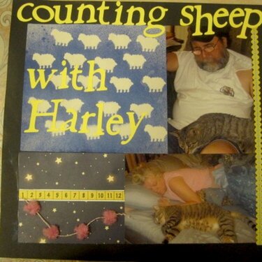 Counting Sheep with Harley